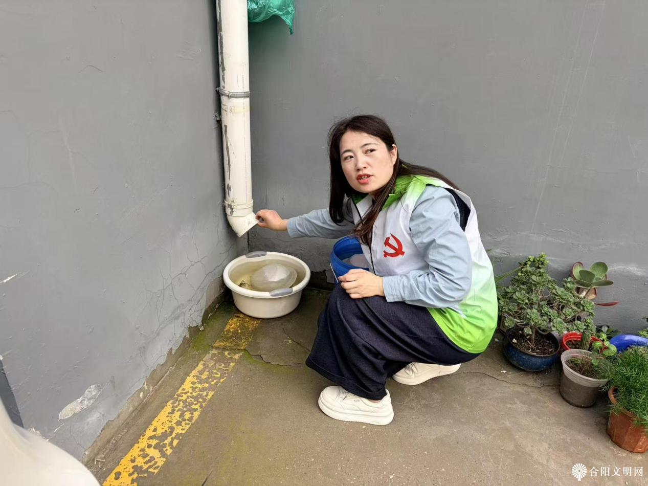1779852786588058454.png 图片1.png